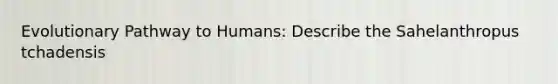 Evolutionary Pathway to Humans: Describe the Sahelanthropus tchadensis