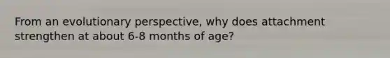 From an evolutionary perspective, why does attachment strengthen at about 6-8 months of age?