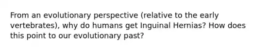 From an evolutionary perspective (relative to the early vertebrates), why do humans get Inguinal Hernias? How does this point to our evolutionary past?