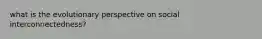 what is the evolutionary perspective on social interconnectedness?
