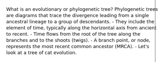 What is an evolutionary or phylogenetic tree? Phylogenetic trees are diagrams that trace the divergence leading from a single ancestral lineage to a group of descendants. - They include the element of time, typically along the horizontal axis from ancient to recent. - Time flows from the root of the tree along the branches and to the shoots (twigs). - A branch point, or node, represents the most recent common ancestor (MRCA). - Let's look at a tree of cat evolution.