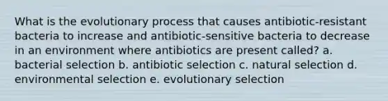 What is the evolutionary process that causes antibiotic-resistant bacteria to increase and antibiotic-sensitive bacteria to decrease in an environment where antibiotics are present called? a. bacterial selection b. antibiotic selection c. natural selection d. environmental selection e. evolutionary selection