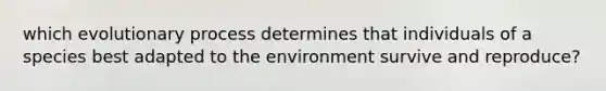 which evolutionary process determines that individuals of a species best adapted to the environment survive and reproduce?