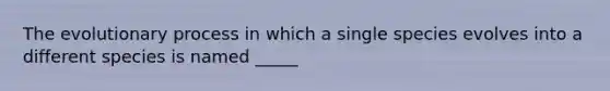 The evolutionary process in which a single species evolves into a different species is named _____