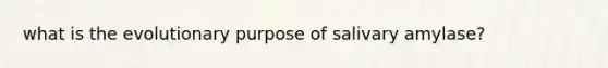 what is the evolutionary purpose of salivary amylase?