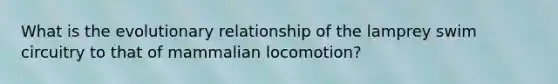 What is the evolutionary relationship of the lamprey swim circuitry to that of mammalian locomotion?