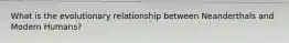 What is the evolutionary relationship between Neanderthals and Modern Humans?