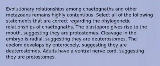 Evolutionary relationships among chaetognaths and other metazoans remains highly contentious. Select all of the following statements that are correct regarding the phylogenetic relationships of chaetognaths. The blastopore gives rise to <a href='https://www.questionai.com/knowledge/krBoWYDU6j-the-mouth' class='anchor-knowledge'>the mouth</a>, suggesting they are protostomes. Cleavage in the embryo is radial, suggesting they are deuterostomes. The coelom develops by enterocoely, suggesting they are deuterostomes. Adults have a ventral nerve cord, suggesting they are protostomes.