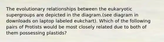 The evolutionary relationships between the eukaryotic supergroups are depicted in the diagram.(see diagram in downloads on laptop labeled eukchart). Which of the following pairs of Protists would be most closely related due to both of them possessing plastids?