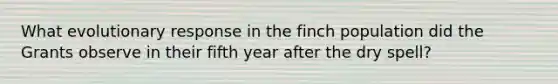What evolutionary response in the finch population did the Grants observe in their fifth year after the dry spell?