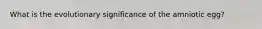 What is the evolutionary significance of the amniotic egg?
