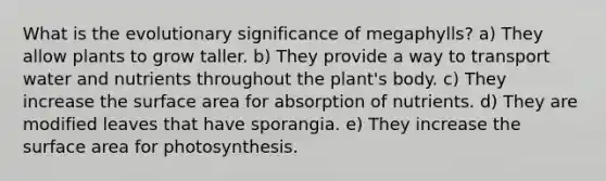 What is the evolutionary significance of megaphylls? a) They allow plants to grow taller. b) They provide a way to transport water and nutrients throughout the plant's body. c) They increase the <a href='https://www.questionai.com/knowledge/kEtsSAPENL-surface-area' class='anchor-knowledge'>surface area</a> for absorption of nutrients. d) They are modified leaves that have sporangia. e) They increase the surface area for photosynthesis.