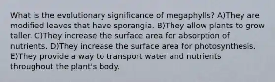 What is the evolutionary significance of megaphylls? A)They are modified leaves that have sporangia. B)They allow plants to grow taller. C)They increase the surface area for absorption of nutrients. D)They increase the surface area for photosynthesis. E)They provide a way to transport water and nutrients throughout the plant's body.