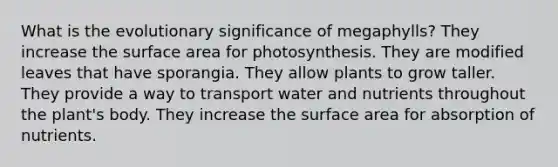 What is the evolutionary significance of megaphylls? They increase the surface area for photosynthesis. They are modified leaves that have sporangia. They allow plants to grow taller. They provide a way to transport water and nutrients throughout the plant's body. They increase the surface area for absorption of nutrients.