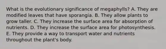 What is the evolutionary significance of megaphylls? A. They are modified leaves that have sporangia. B. They allow plants to grow taller. C. They increase the <a href='https://www.questionai.com/knowledge/kEtsSAPENL-surface-area' class='anchor-knowledge'>surface area</a> for absorption of nutrients. D. They increase the surface area for photosynthesis. E. They provide a way to transport water and nutrients throughout the plant's body.