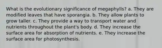 What is the evolutionary significance of megaphylls? a. They are modified leaves that have sporangia. b. They allow plants to grow taller. c. They provide a way to transport water and nutrients throughout the plant's body. d. They increase the surface area for absorption of nutrients. e. They increase the surface area for photosynthesis.