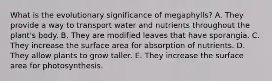 What is the evolutionary significance of megaphylls? A. They provide a way to transport water and nutrients throughout the plant's body. B. They are modified leaves that have sporangia. C. They increase the surface area for absorption of nutrients. D. They allow plants to grow taller. E. They increase the surface area for photosynthesis.