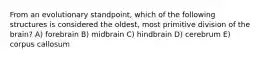 From an evolutionary standpoint, which of the following structures is considered the oldest, most primitive division of the brain? A) forebrain B) midbrain C) hindbrain D) cerebrum E) corpus callosum