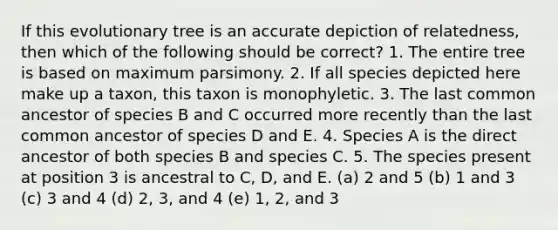 If this evolutionary tree is an accurate depiction of relatedness, then which of the following should be correct? 1. The entire tree is based on maximum parsimony. 2. If all species depicted here make up a taxon, this taxon is monophyletic. 3. The last common ancestor of species B and C occurred more recently than the last common ancestor of species D and E. 4. Species A is the direct ancestor of both species B and species C. 5. The species present at position 3 is ancestral to C, D, and E. (a) 2 and 5 (b) 1 and 3 (c) 3 and 4 (d) 2, 3, and 4 (e) 1, 2, and 3