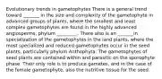 Evolutionary trends in gametophytes There is a general trend toward _______ in the size and complexity of the gametophyte in advanced groups of plants, where the smallest and least complex gametophytes are found in the highly advanced angiosperms, phylum _________. There also is an _______in specialization of the gametophytes in the land plants, where the most specialized and reduced gametophytes occur in the seed plants, particularly phylum Anthophyta. The gametophytes of seed plants are contained within and parasitic on the sporophyte phase. Their only role is to produce gametes, and in the case of the female gametophyte, also the nutritive tissue for the seed.