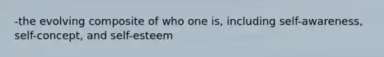 -the evolving composite of who one is, including self-awareness, self-concept, and self-esteem