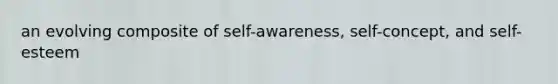 an evolving composite of self-awareness, self-concept, and self-esteem