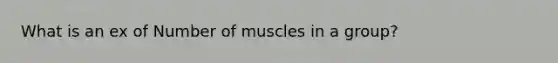 What is an ex of Number of muscles in a group?