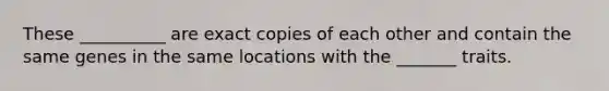 These __________ are exact copies of each other and contain the same genes in the same locations with the _______ traits.