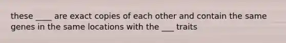 these ____ are exact copies of each other and contain the same genes in the same locations with the ___ traits