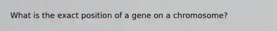 What is the exact position of a gene on a chromosome?