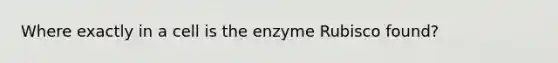 Where exactly in a cell is the enzyme Rubisco found?