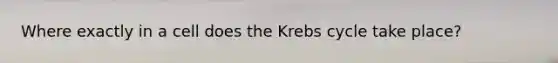 Where exactly in a cell does the Krebs cycle take place?