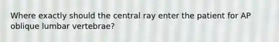 Where exactly should the central ray enter the patient for AP oblique lumbar vertebrae?