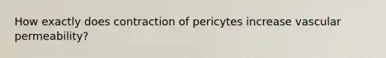 How exactly does contraction of pericytes increase vascular permeability?