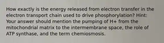 How exactly is the energy released from electron transfer in the electron transport chain used to drive phosphorylation? Hint: Your answer should mention the pumping of H+ from the mitochondrial matrix to the intermembrane space, the role of ATP synthase, and the term chemiosmosis.