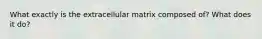 What exactly is the extracellular matrix composed of? What does it do?