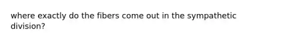where exactly do the fibers come out in the sympathetic division?