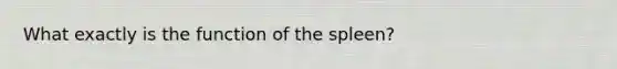 What exactly is the function of the spleen?