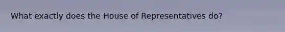 What exactly does the House of Representatives do?