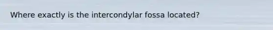 Where exactly is the intercondylar fossa located?