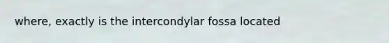 where, exactly is the intercondylar fossa located