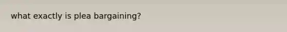 what exactly is plea bargaining?