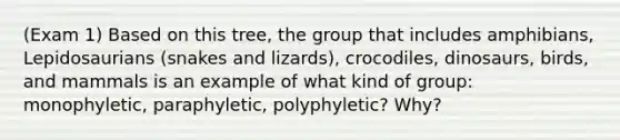 (Exam 1) Based on this tree, the group that includes amphibians, Lepidosaurians (snakes and lizards), crocodiles, dinosaurs, birds, and mammals is an example of what kind of group: monophyletic, paraphyletic, polyphyletic? Why?