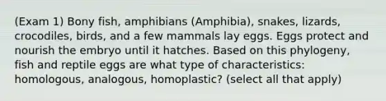 (Exam 1) Bony fish, amphibians (Amphibia), snakes, lizards, crocodiles, birds, and a few mammals lay eggs. Eggs protect and nourish the embryo until it hatches. Based on this phylogeny, fish and reptile eggs are what type of characteristics: homologous, analogous, homoplastic? (select all that apply)