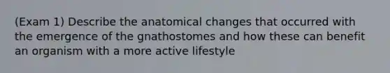 (Exam 1) Describe the anatomical changes that occurred with the emergence of the gnathostomes and how these can benefit an organism with a more active lifestyle