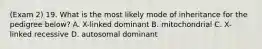 (Exam 2) 19. What is the most likely mode of inheritance for the pedigree below? A. X-linked dominant B. mitochondrial C. X-linked recessive D. autosomal dominant