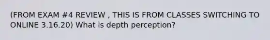 (FROM EXAM #4 REVIEW , THIS IS FROM CLASSES SWITCHING TO ONLINE 3.16.20) What is depth perception?