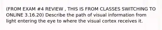 (FROM EXAM #4 REVIEW , THIS IS FROM CLASSES SWITCHING TO ONLINE 3.16.20) Describe the path of visual information from light entering the eye to where the visual cortex receives it.