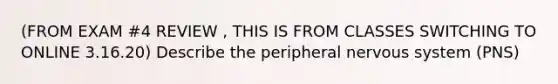 (FROM EXAM #4 REVIEW , THIS IS FROM CLASSES SWITCHING TO ONLINE 3.16.20) Describe the peripheral nervous system (PNS)