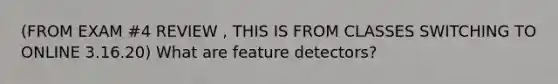 (FROM EXAM #4 REVIEW , THIS IS FROM CLASSES SWITCHING TO ONLINE 3.16.20) What are feature detectors?